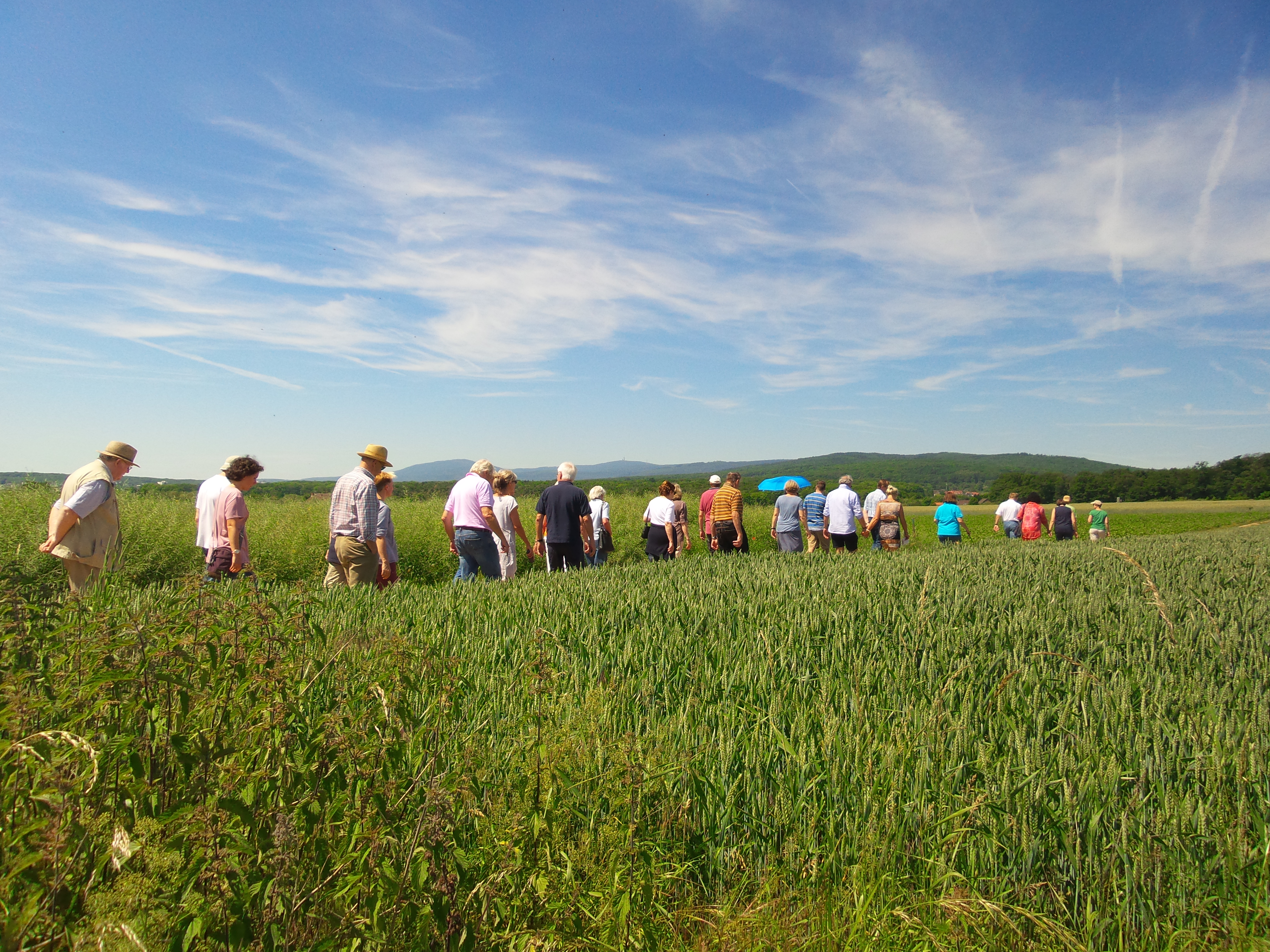 Die »Spitze der Bewegung« vor der Feldbergkulisse, © M. Müller