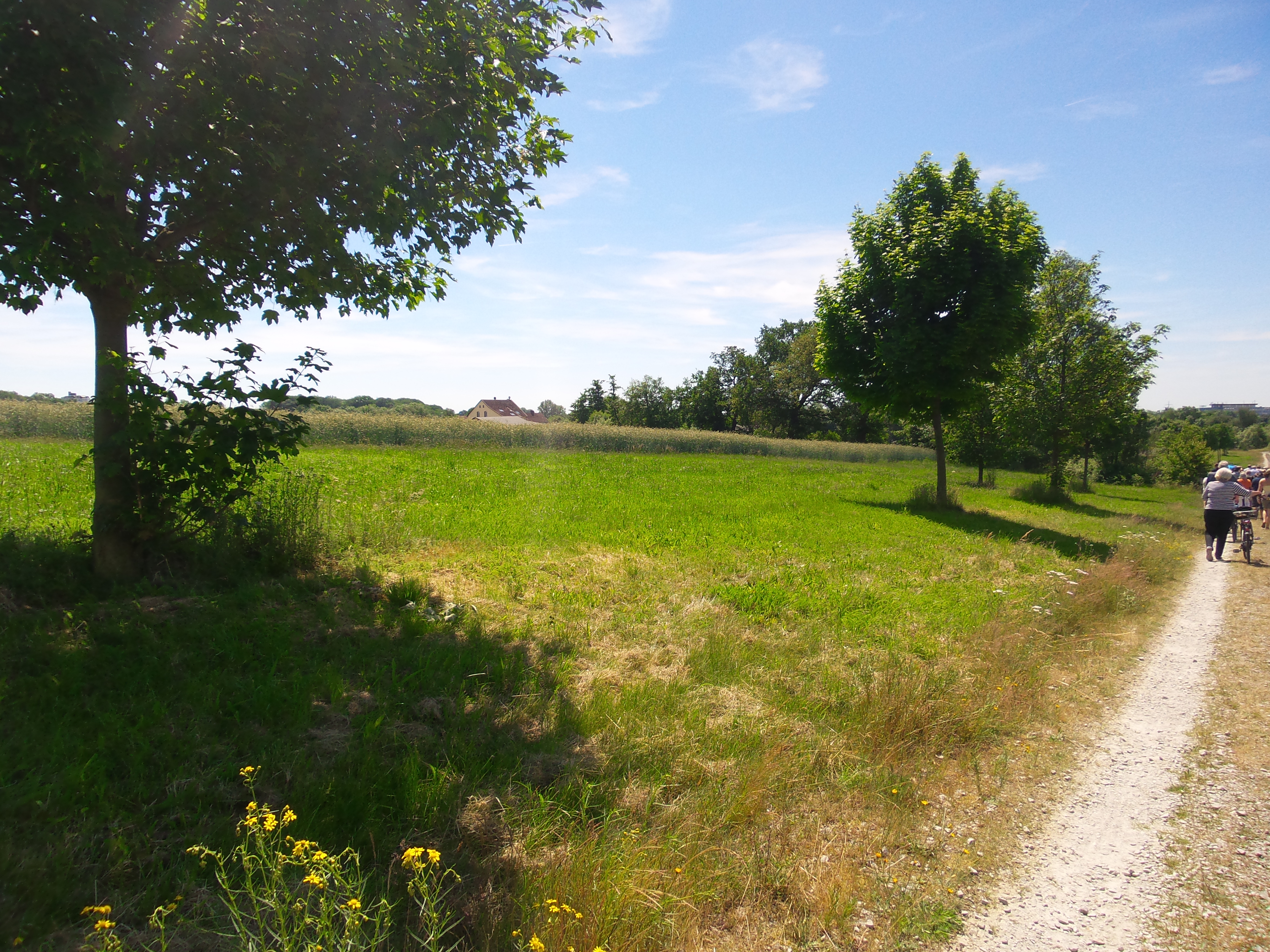 Blick vom Weg an der Umgehungsstraße zur Dickmühle, © M. Müller